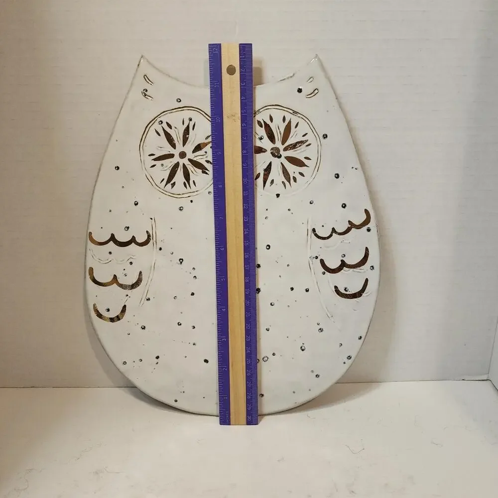 White Wide Eyed Owl 12